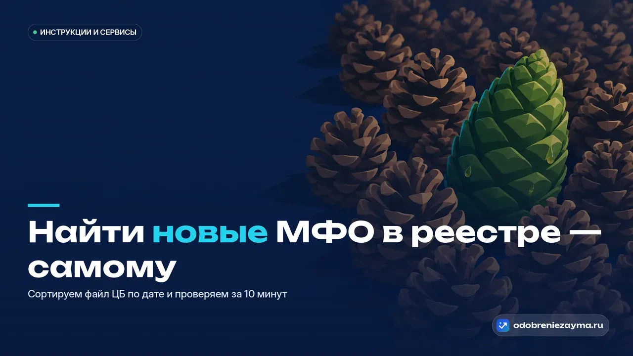 Поле одинаковых потемневших сосновых шишек на тёмно-синей плите, и у правого края одна свежая ярко-зелёная смолистая шишка выделяется среди старых — метафора только открывшейся компании среди давно работающих записей реестра.